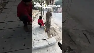 Remove Tree 🌳 Guards Save Tree in india 🇮🇳  | Trees plants info Save Trees 🌳 in India!