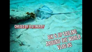 7.5 hour swim and chased by a stingray! Ep.5