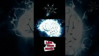 Interesting facts | Facts | BD facts | new shorts | Tips and twist | মায়াজাল