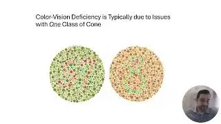 Chapter 6 Part 5 (color perception theories)