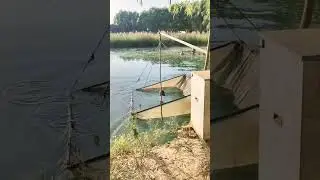 Natural trapping fishing best fishing technique fishing Catch RIVER fish a lots of fishing Catching