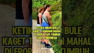 Ketika mbak bule kaget tanaman mahal di eropa tapi tumbuh liar di Indonesia #shorts