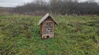 Exploring Bedfont Lakes Country Park, Feltham, London UK