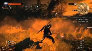 witcher E3 graphic mod