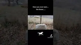 Have you ever seen the Grave of a Horse? #trigger #horse #grave #todmorden