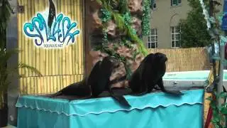 Copy of 2011 New York State Fair Opening Day HD