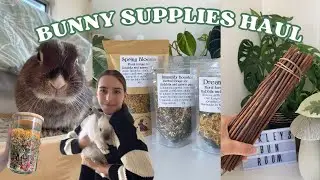 Bunny supplies haul | restock with me 🌿