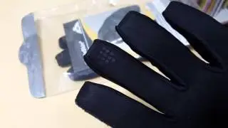 (2) Turtleskin alpha gloves by 大衛行