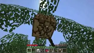 Minecraft Survivor #1 (map bana ait)