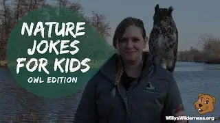 Nature Jokes for Kids: Owl Edition