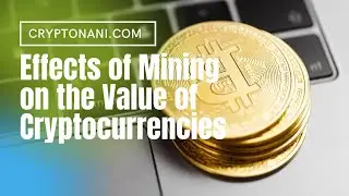 Effects of Mining on the Value of Cryptocurrencies