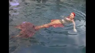 Mermaid Blaze of The MerFriends