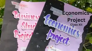 human capital development Economics project  #classXII  #humancapitaldevelopment  #economics