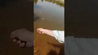 Ustad Azhar butt lumdor sy Dana nikalty huye #fishing video 📸📸📸