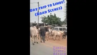 On the Road - Limbe, Cameroon