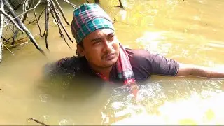 Beautiful Hand Fishing Video | Smart Boy Hand Fishing in Pond | Primitive Fishing Video in Village |