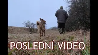 Poslední video