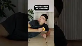 Gel&ouml;schte Szene aus Ratatouille 🐀