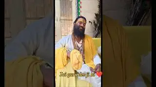 Guru dev ji 😌❤️#gurudevji #shorts #gaywalebaba#shortvideo