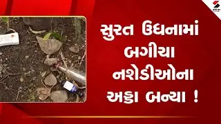 Surat | સુરત ઉધનામાં બગીચા નશેડીઓના અડ્ડા બન્યા ! | Udhna | Garden Issue | Gujarat