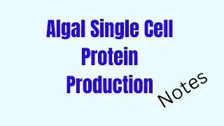 Algal single cell protein Production | Microbial Single Cell Protein | Algae  | Microbiology
