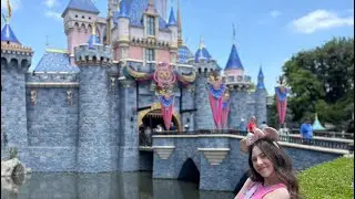 Exploring Brand Licensing Through The Walt Disney Company ✨