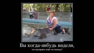 Видео демотиваторы на FUN PHOTO