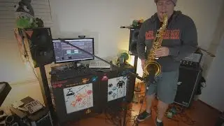 Aquatic Ambiance (Donkey Kong Country) - Cover - Peter Nielsen