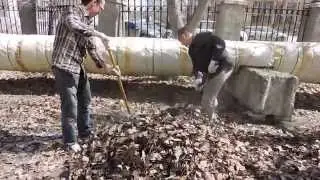 DSCN0845