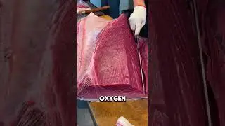 Why Is Tuna Meat So Dark? The Real Reason! 🐟