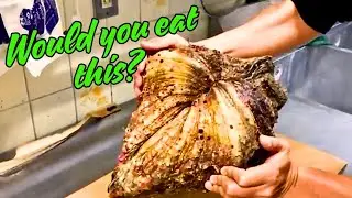 19 kilogram shellfish!  Watch how it is prepared in a delicious recipe!