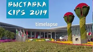 Выставка CIPS 2019 в Шанхае (Китай). Ознакомительный Timelapse.
