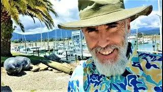 Q And A On the Dock of the Bay. Clay Tall Stories