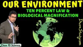 Our Environment Class 10 Science | Ten Percent Law  Biological Magnification | CBSE | Free Education