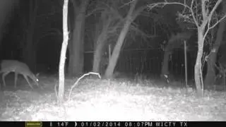 GameCam 122913_010314