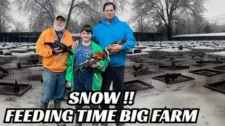 SNOW !! Big Farm Feeding Time Shape Chicken Coop Indoor Outdoor Breesing Pens Tennessee USA 🇺🇸
