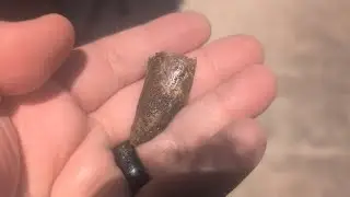 2 Tyrannosaur Fossils I Got at the 2025 GeoFair in Hamilton Ohio.  A Tooth and a Piece of Leg Bone