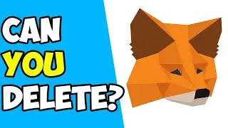 Can You Delete MetaMask Account?