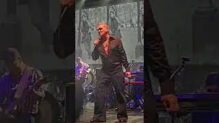 Morrissey - ' We Hate it' and 'Suedehead', The Palais Theatre, Melbourne, Australia December 4, 2023