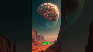 Alien Artifacts on Mars: Fact or Fiction?