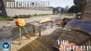 Butcher Table, Lights, and Fights!  Day 9 Surviving The Infected