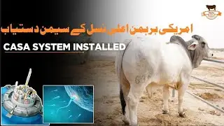 Computer-Assisted Semen Analysis (CASA) System Installed at Dayzee Farm | Advancing Cattle Breeding