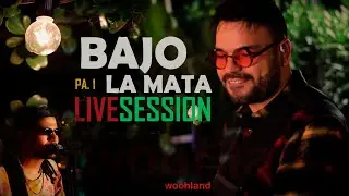 Bajo La Mata (Live Session) P. 1 - Luis Wever (feat JuanpedroVP)