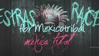 mix tribal 2014 guachero