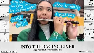 Into the Raging River by Steven Reineke - flute & piccolo perspective w/ sheet music