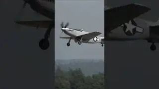 💨 P-51H: Ultra Rare, Rumble Over the Redwoods #p51 #rumbleovertheredwoods #aviation #plane