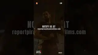 Say no to PIRACY | #Tiger3  | #SalmanKhan | #KatrinaKaif