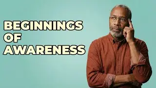 How Did Public Environmental Awareness Begin In The 1960s?