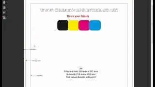 creative printer    A4 Flyer Printing