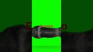 ESCORPIO&hearts;️Hor&oacute;scopos diario: Predicciones y Consejos Astrol&oacute;gicos amor dinero y salud